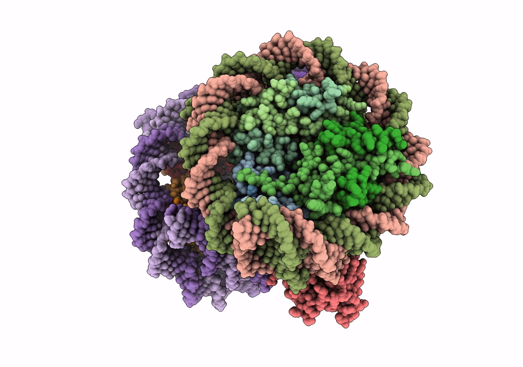 7U4D image