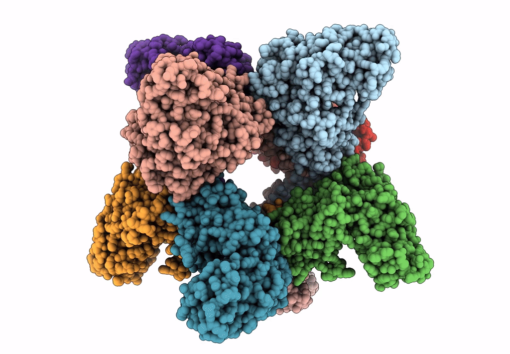 7U5I image