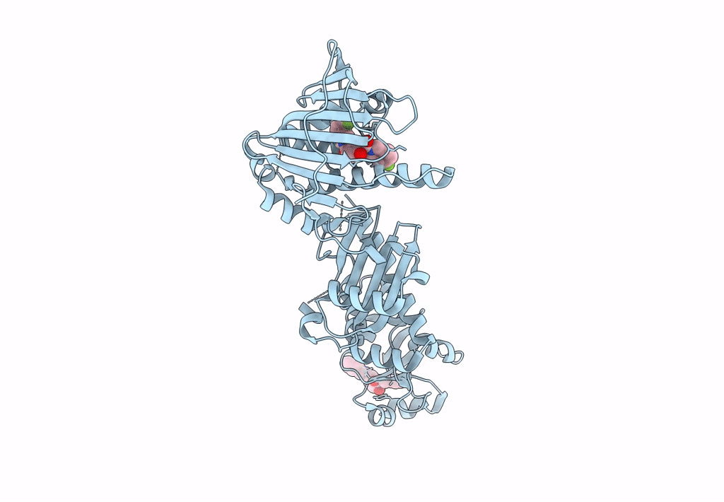 7U8W image