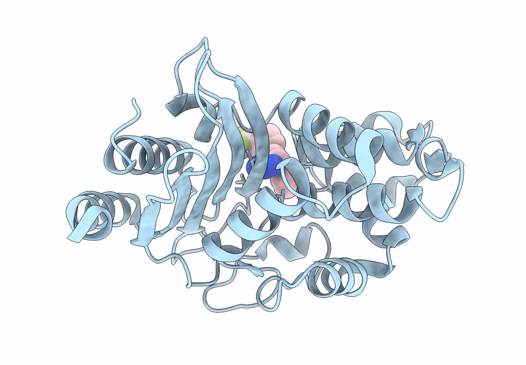 7U9B image
