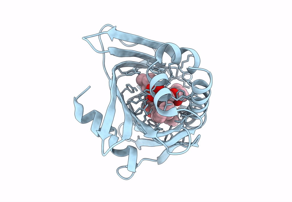 7U9D image