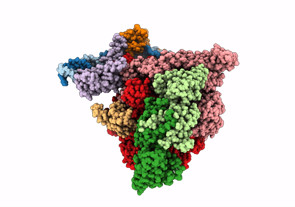 7UBM image