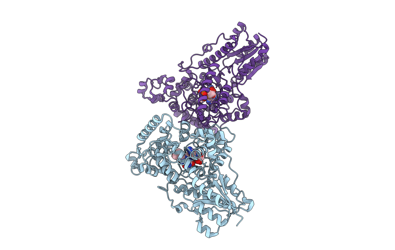 7UD0 image