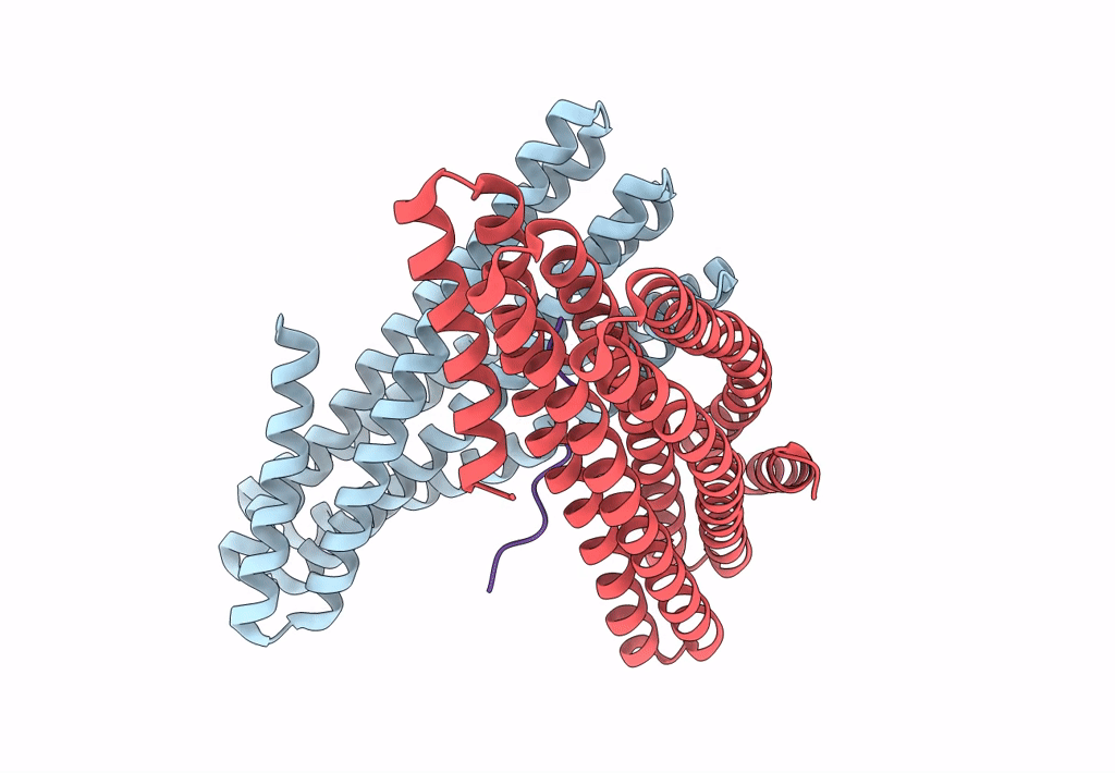 7UDM image
