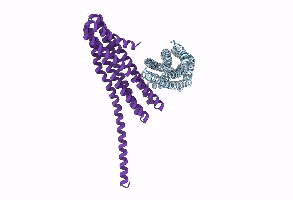7UDN image