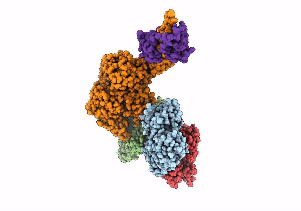 7UDT image