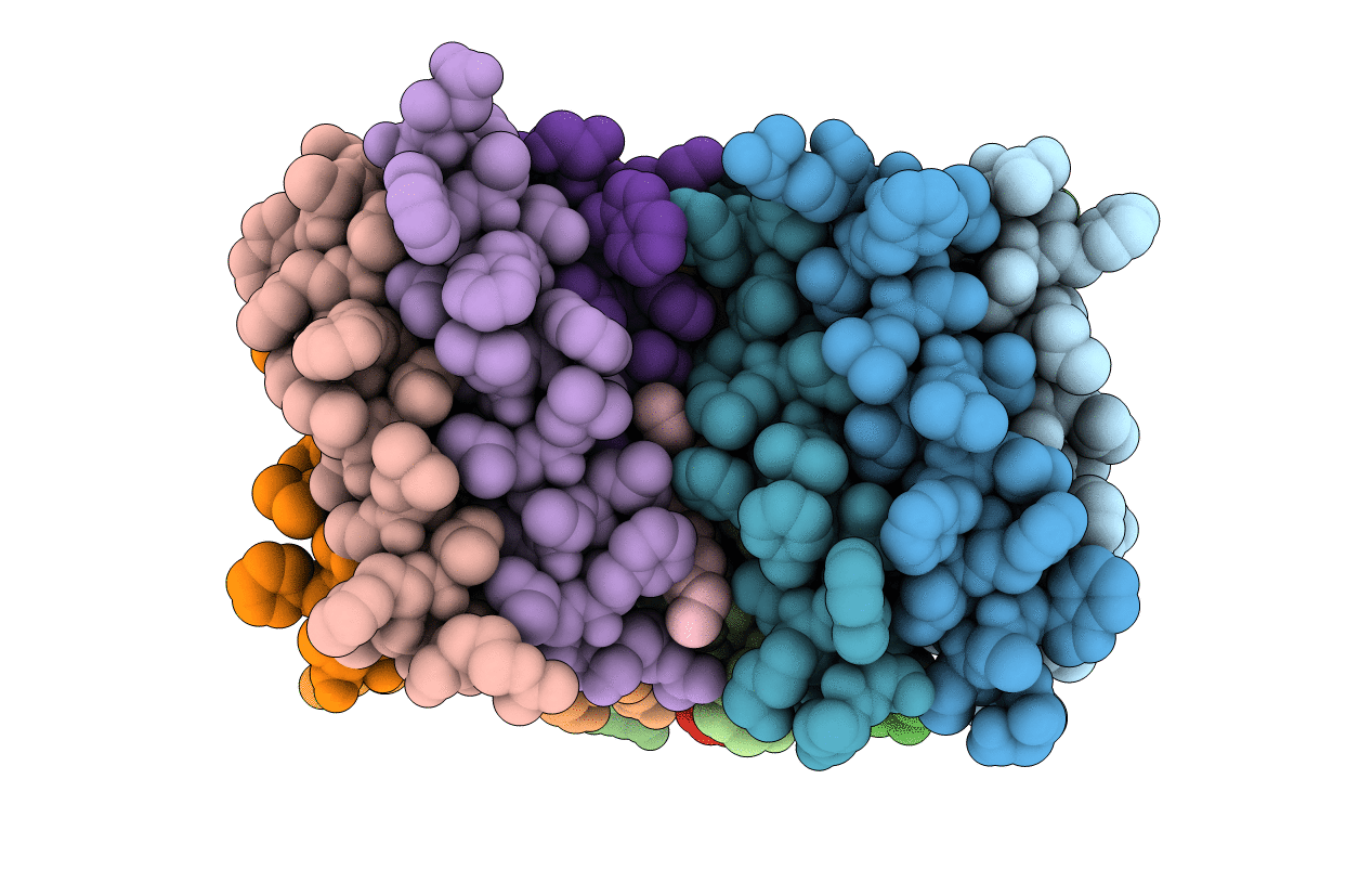 7UDX image
