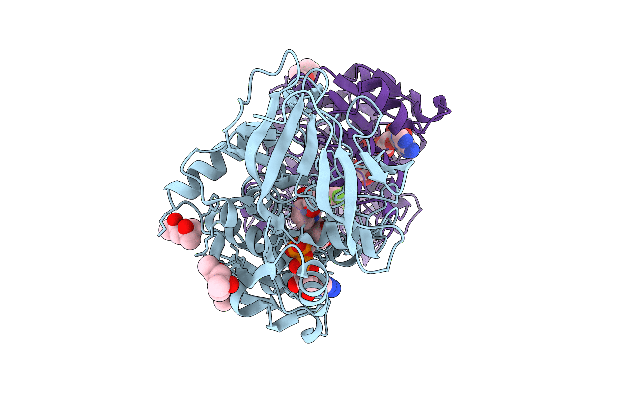 7uef image