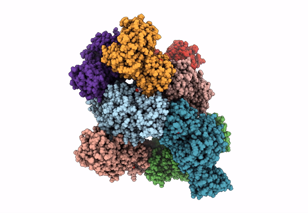 7UEH image