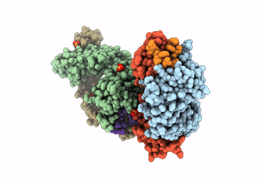 7UFN image