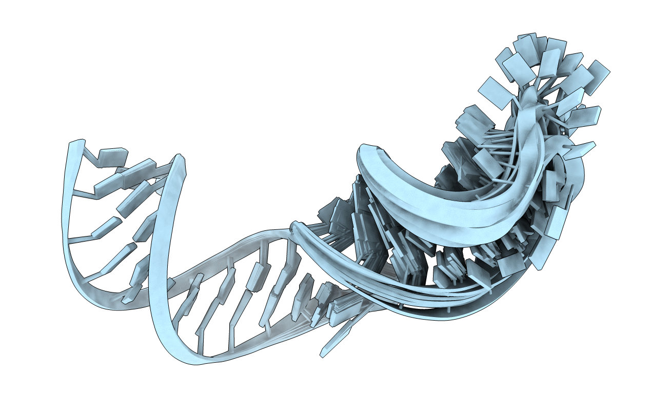7UGA image
