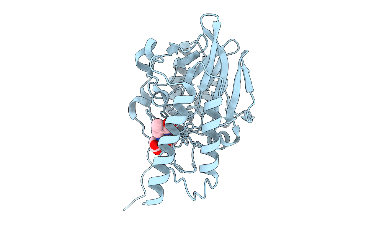 7UHN image