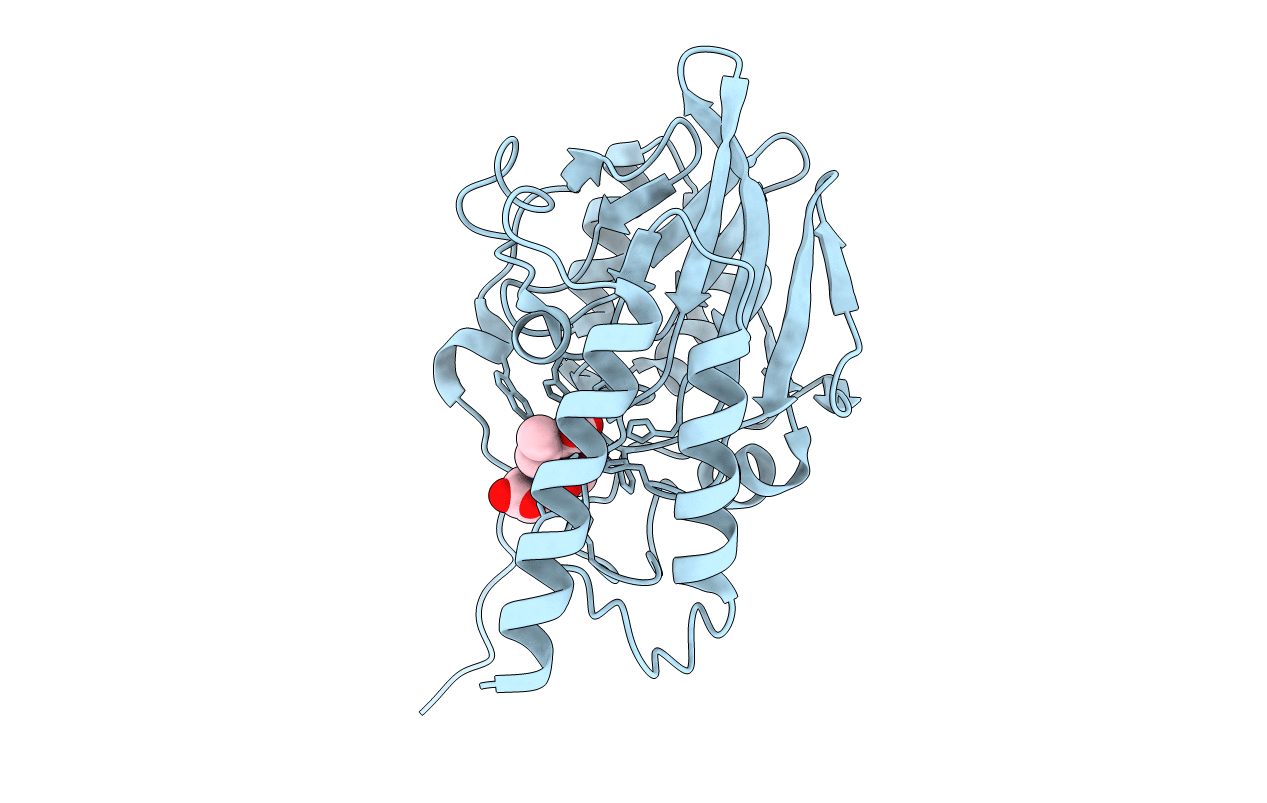 7UHP image