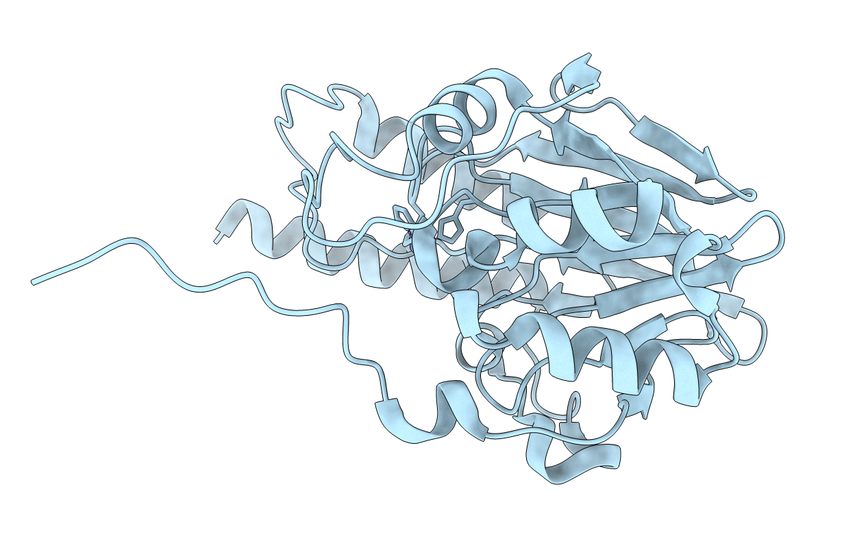 7UHT image