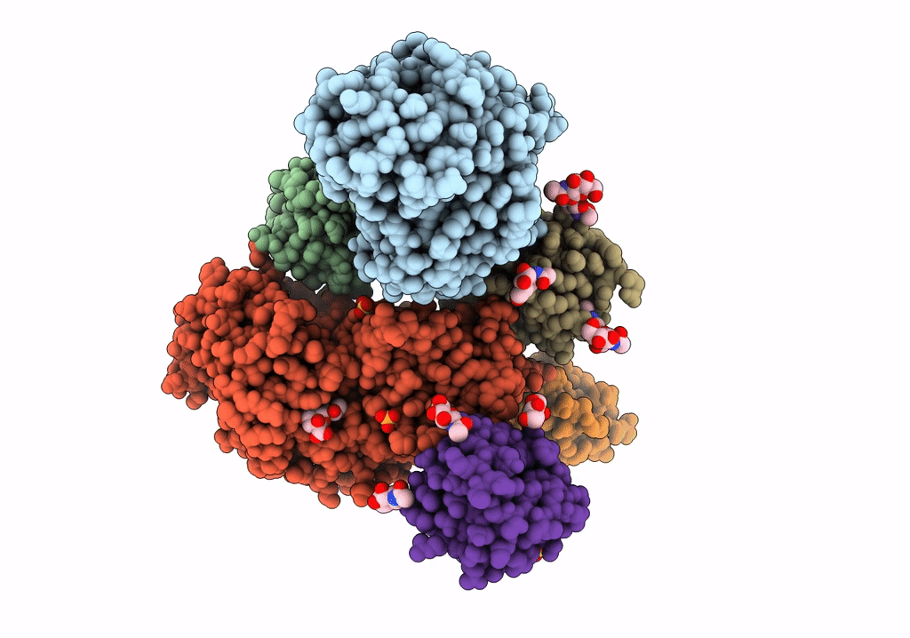 7UIB image