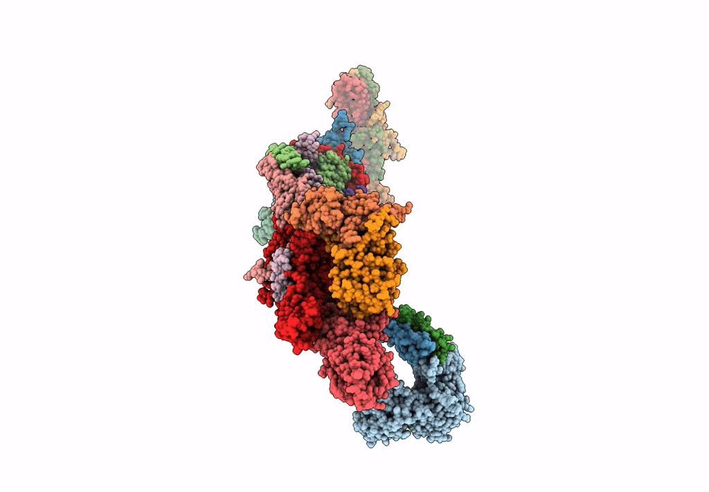 7UIG image