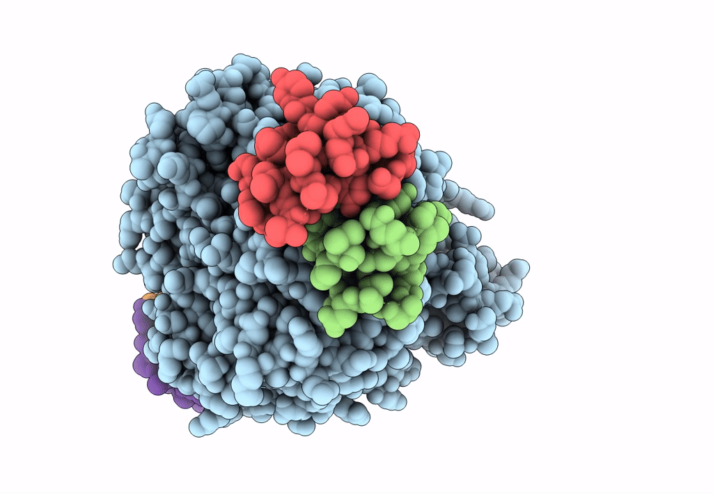 7UIH image