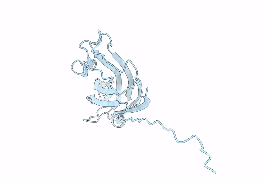 7UII image