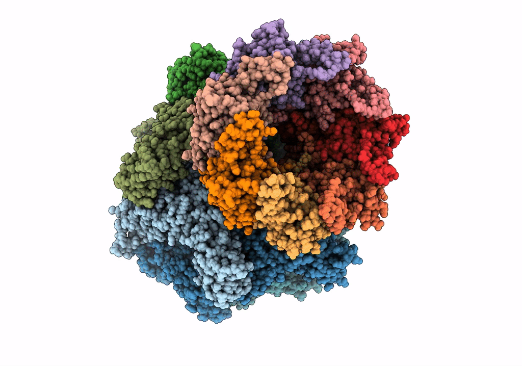 7UIX image
