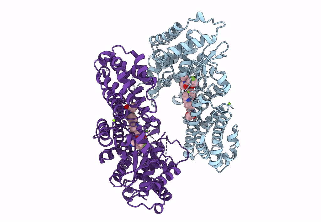 7UJ4 image