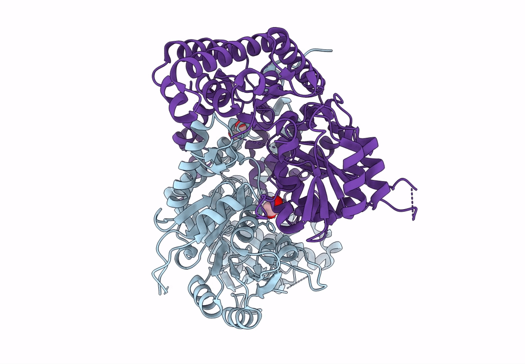 7UJI image