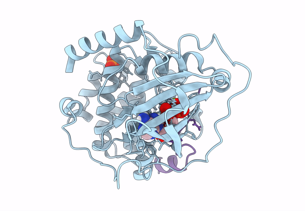 7UJX image