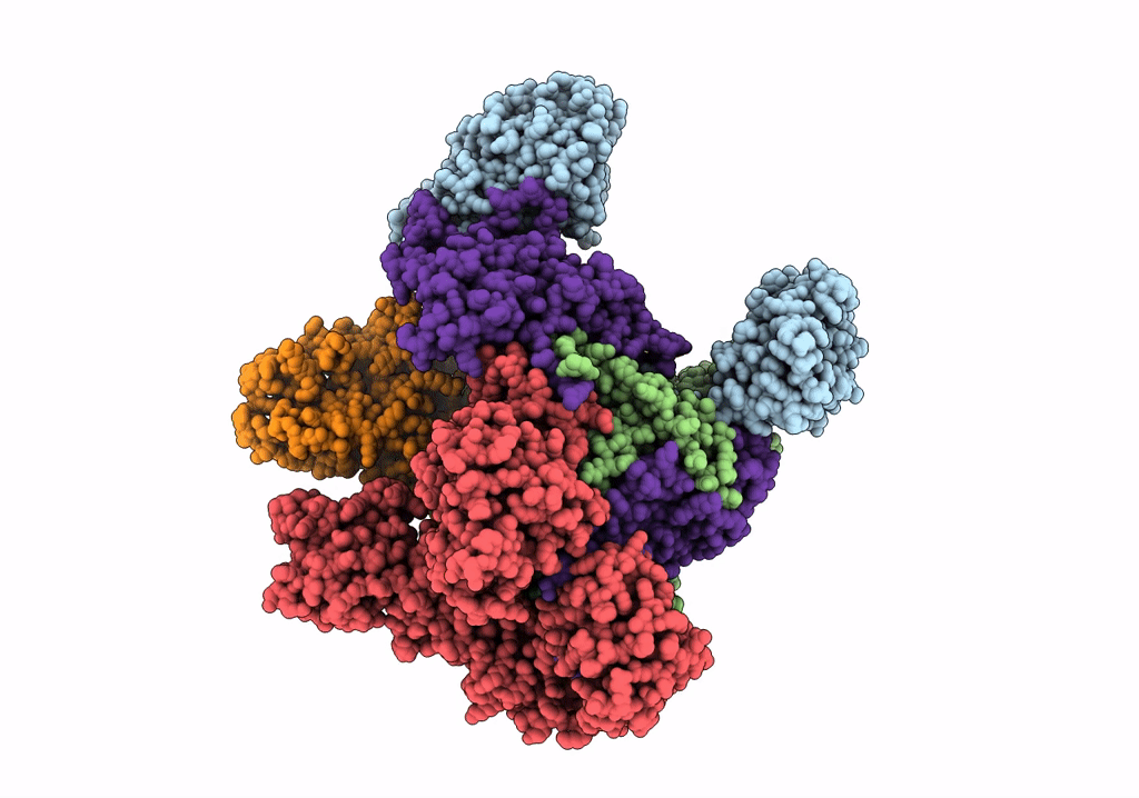7UM0 image