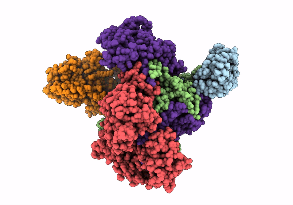7UM1 image