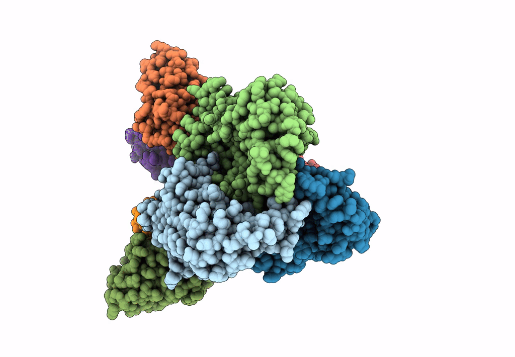 7UMN image