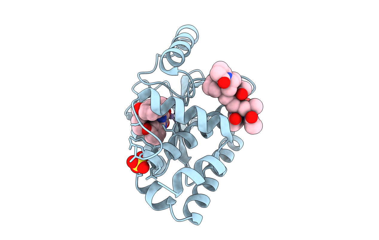 7UMR image