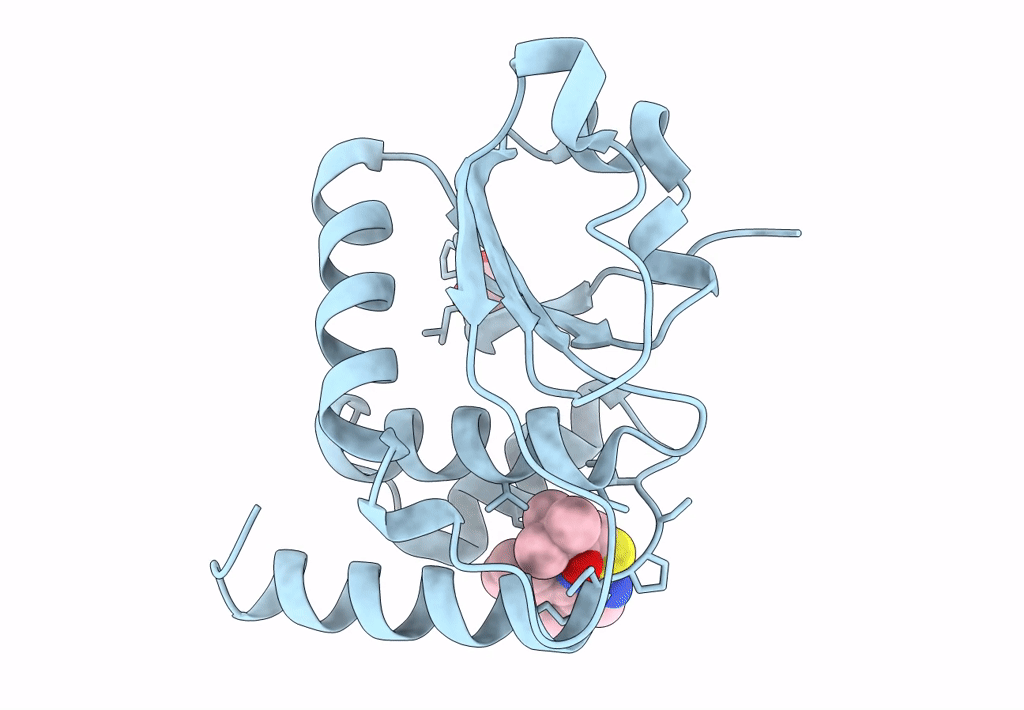 7UMV image