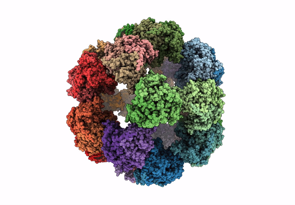 7UOM image