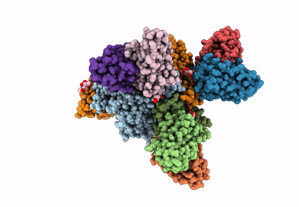 7UOP image