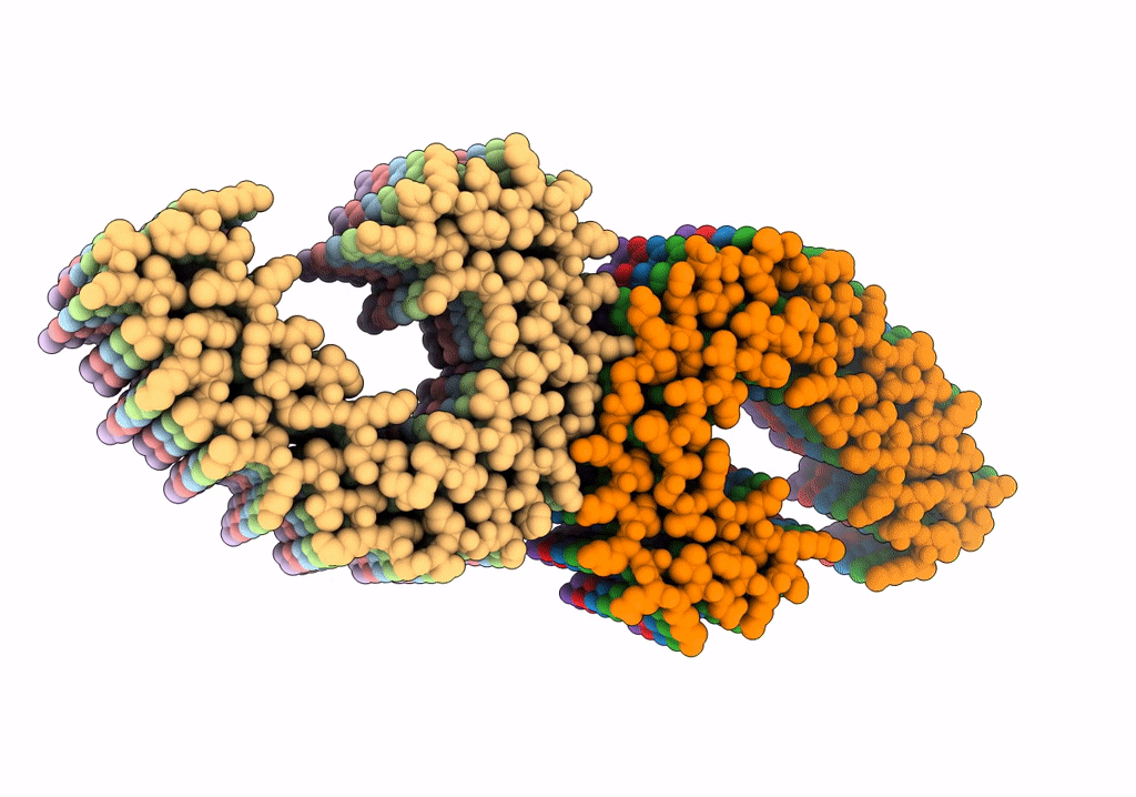 7UPE image
