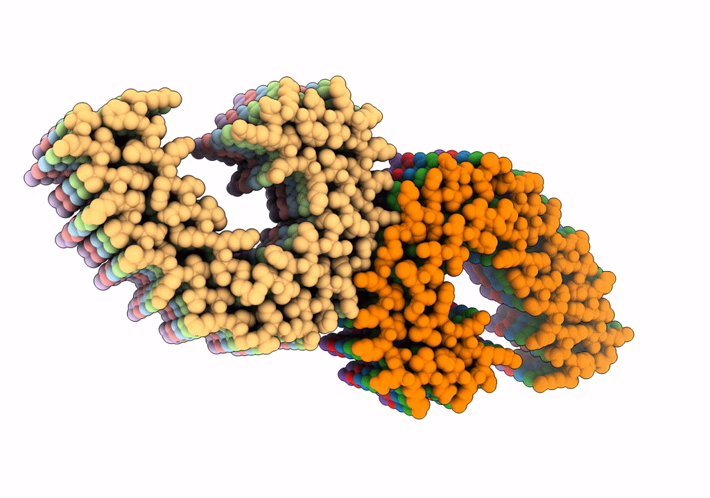 7UPF image