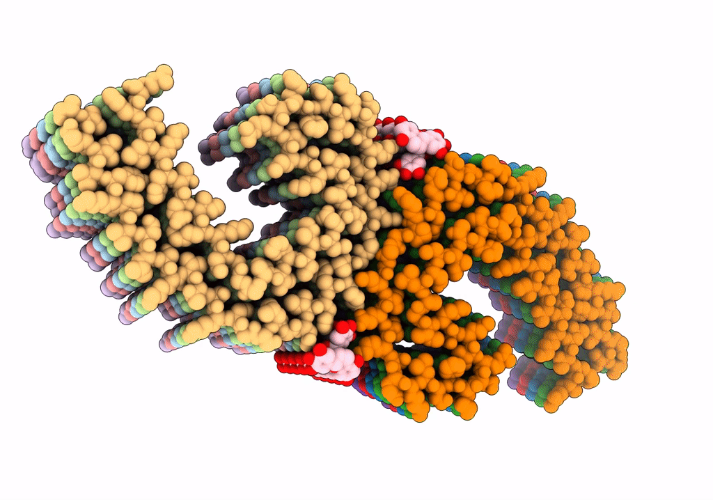 7UPG image