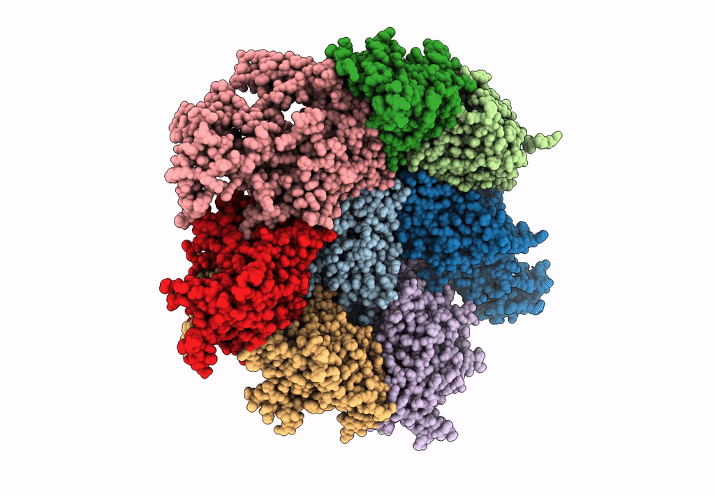 7UTP image