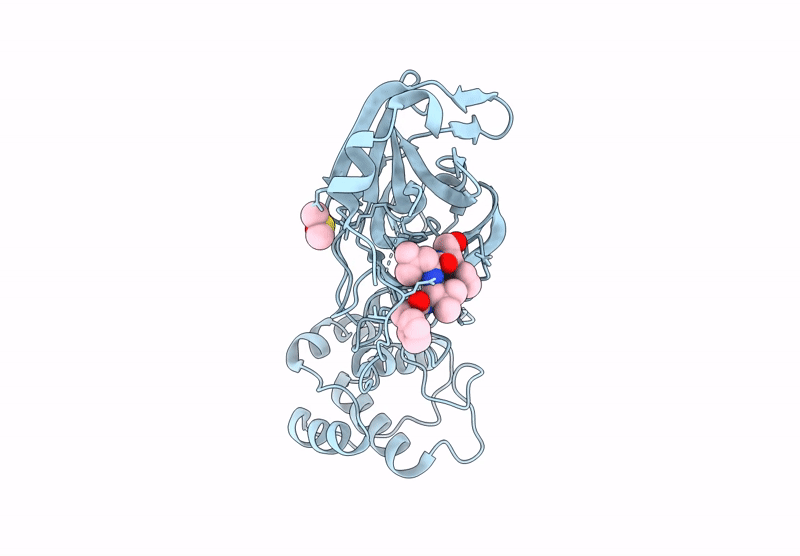 7UUB image