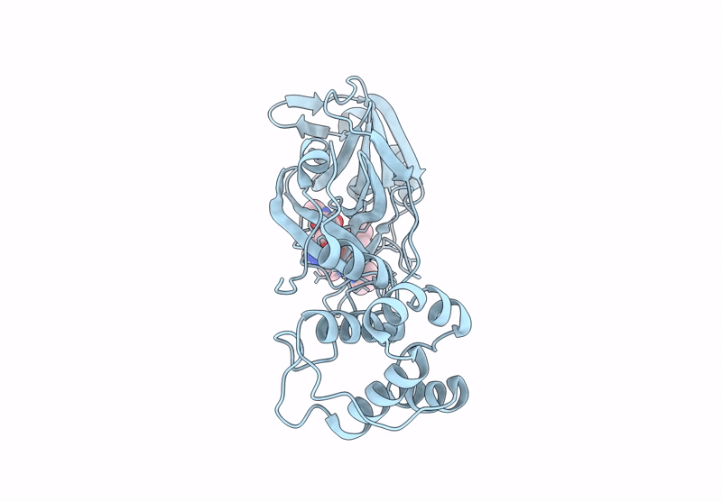 7uud image
