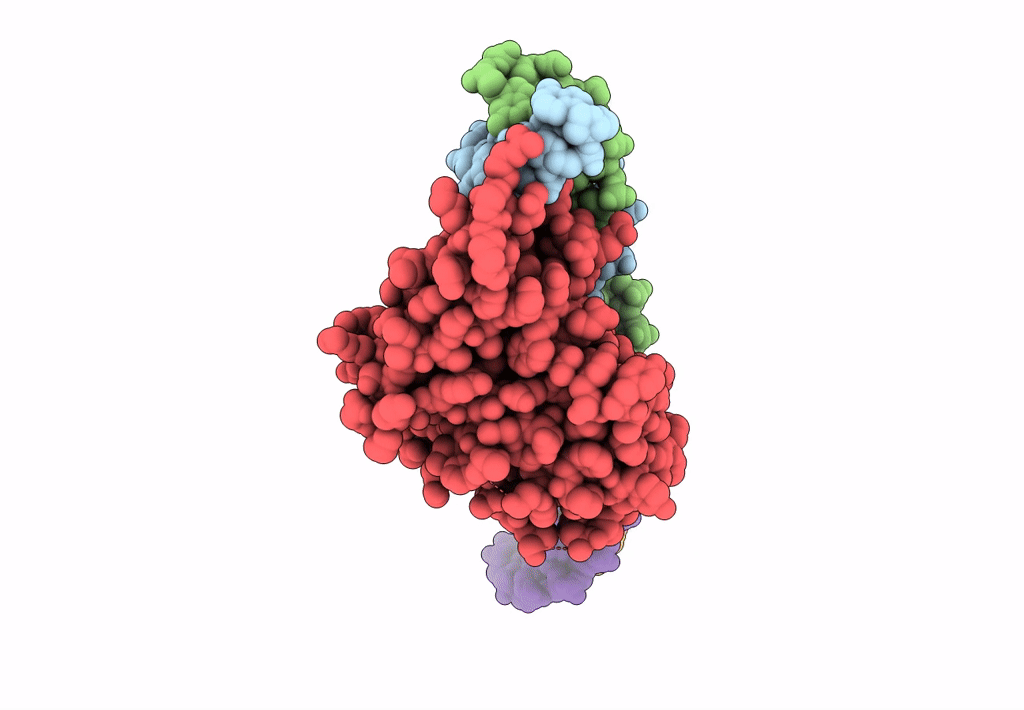 7UV7 image