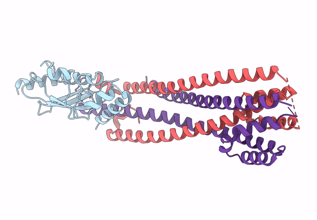 7UVC image