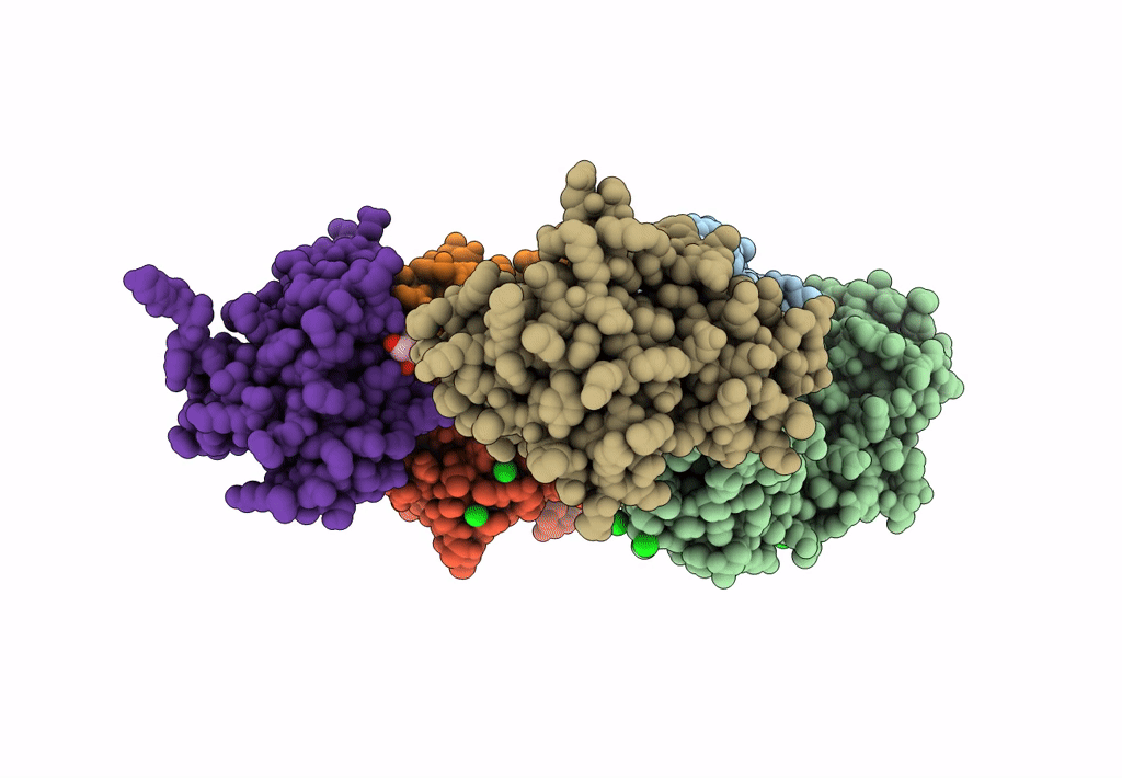 7UVH image