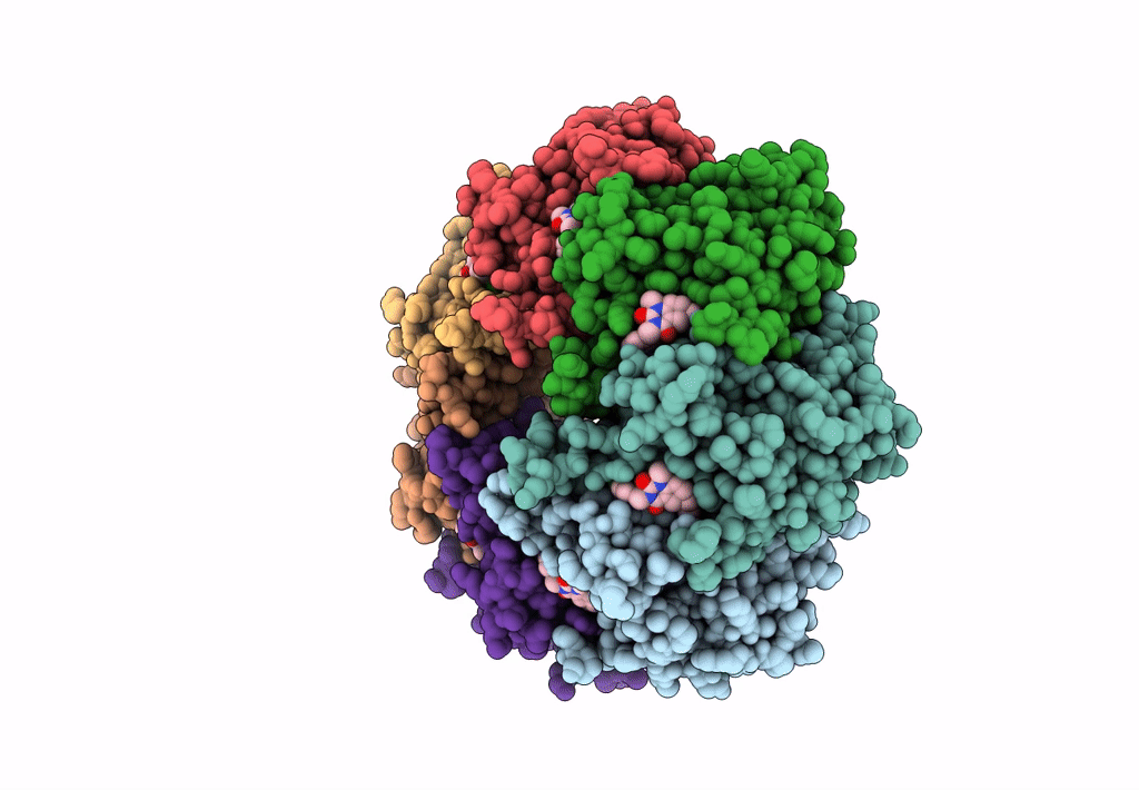 7UVN image