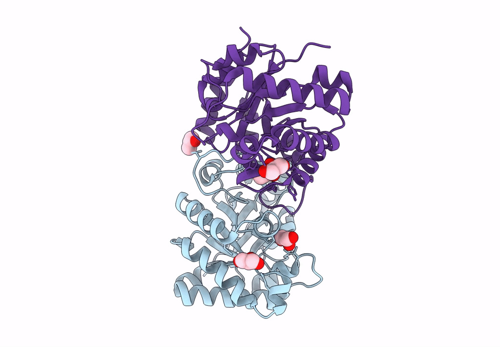 7UXB image