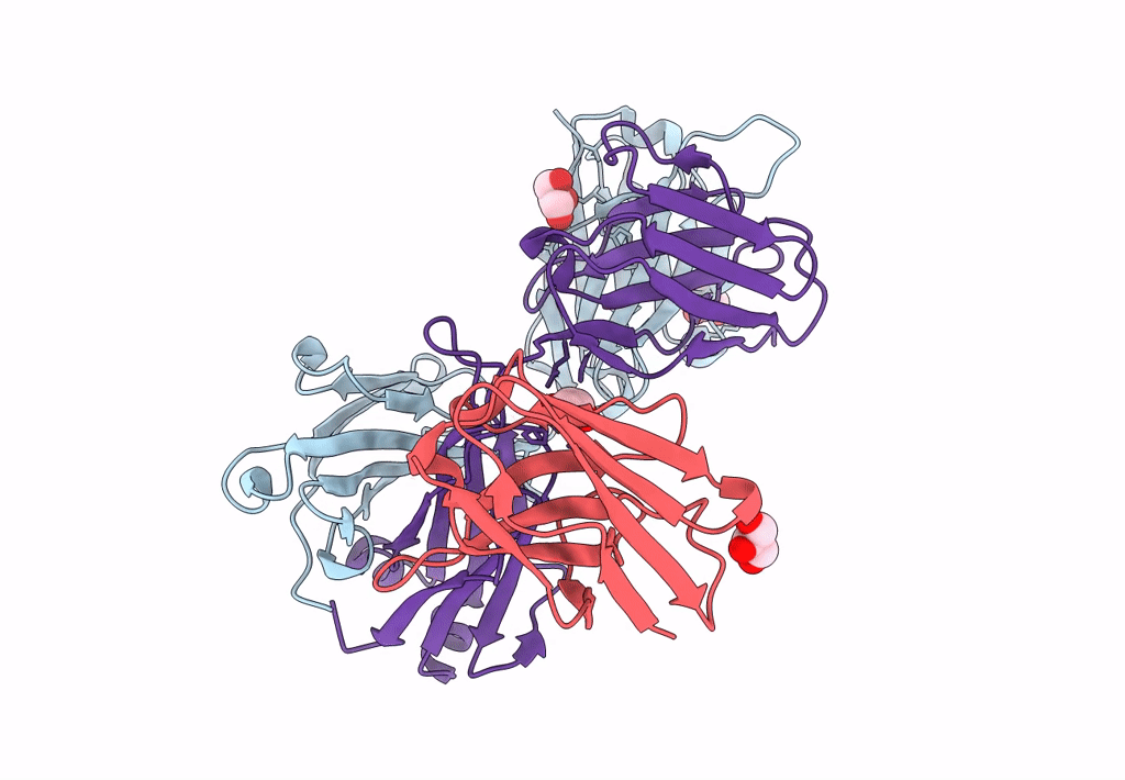 7UYL image