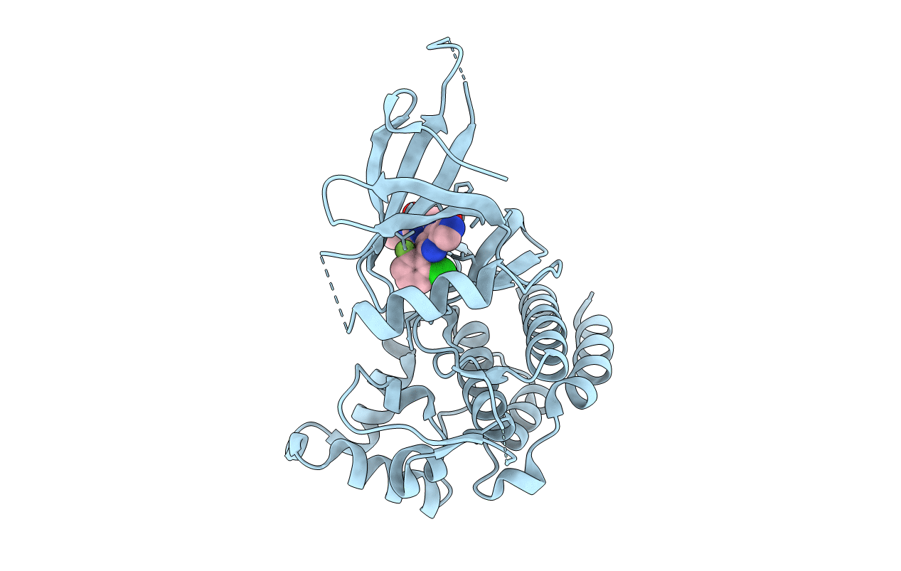 7UYT image