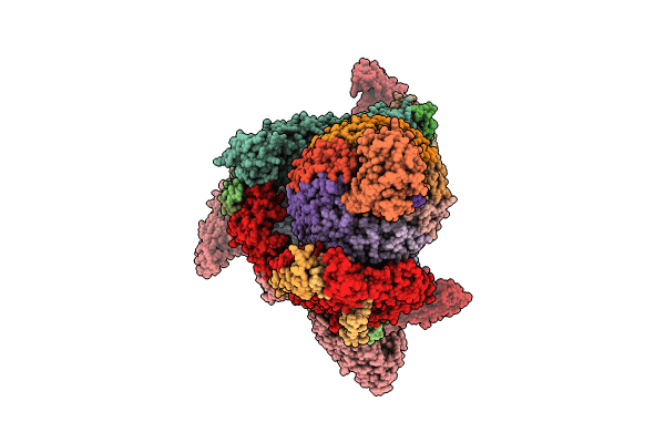 7UZH image