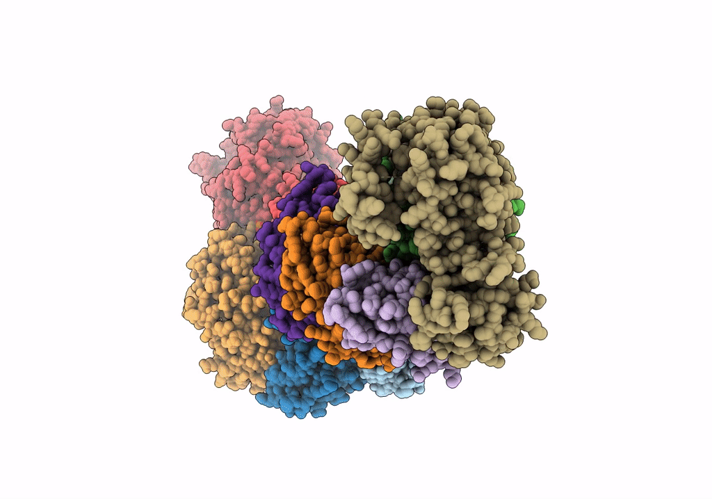 7V00 image