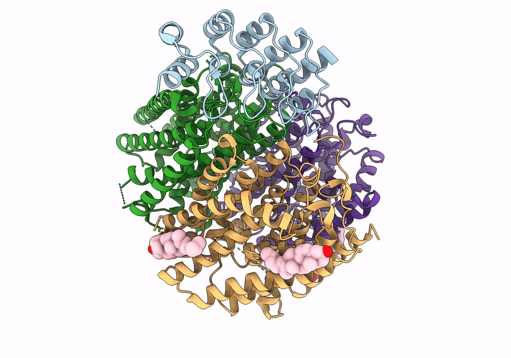 7V0S image