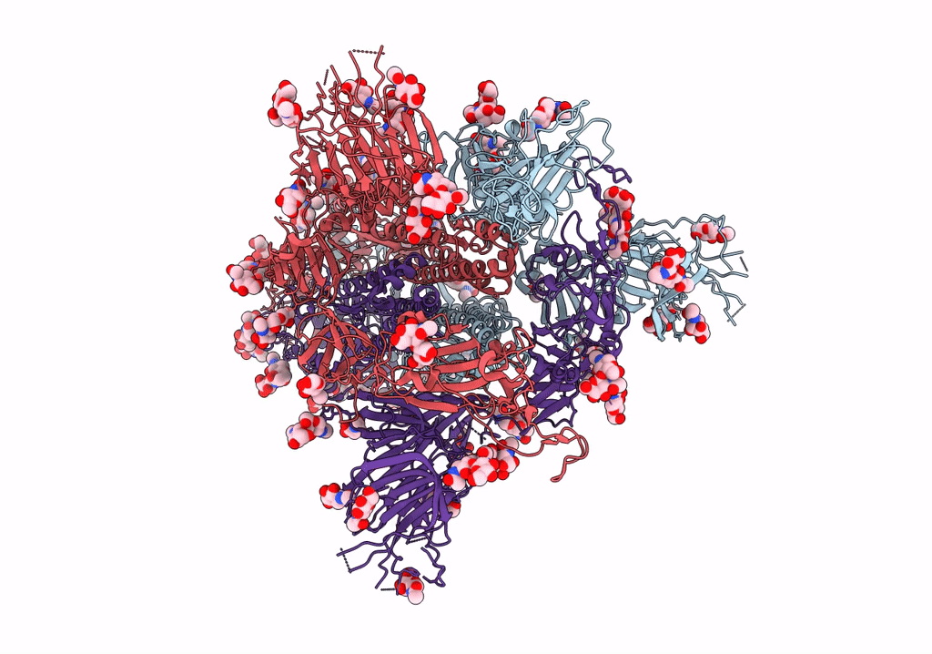 7V79 image